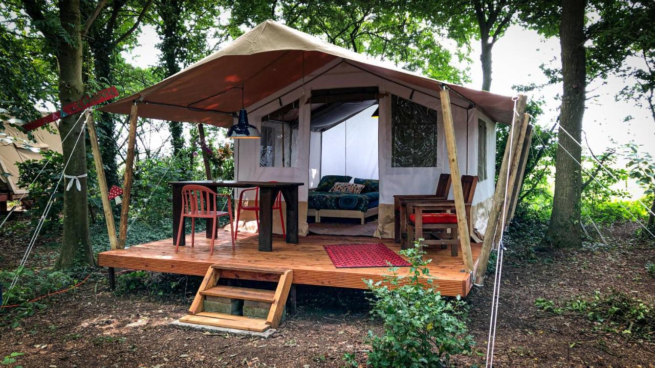 Eco-Camping De Helleborus, Yurt, Bell & Safari Tent, Pipo, Caravans, Dorms And Units Groningen Eksteriør bilde