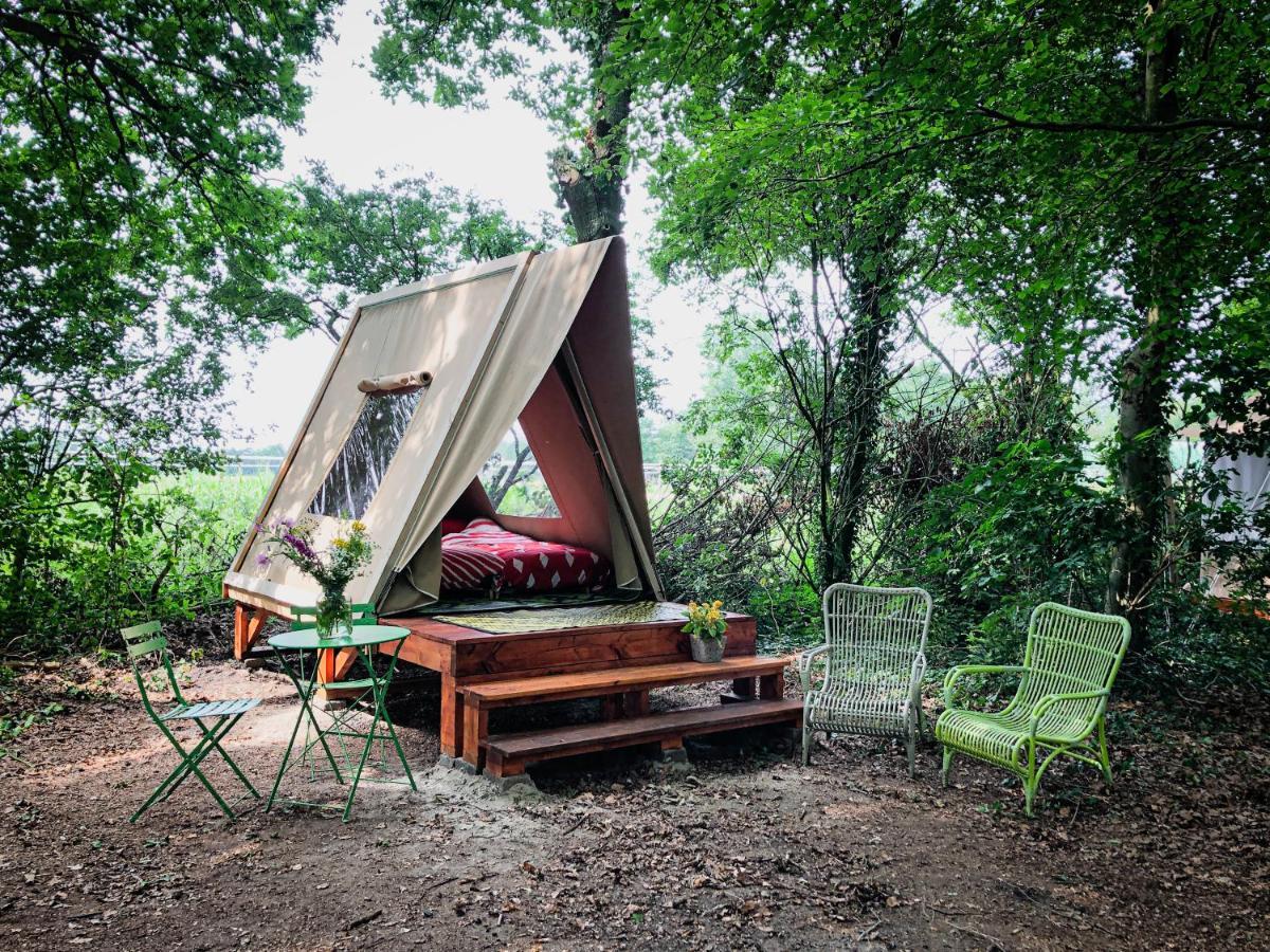 Eco-Camping De Helleborus, Yurt, Bell & Safari Tent, Pipo, Caravans, Dorms And Units Groningen Eksteriør bilde