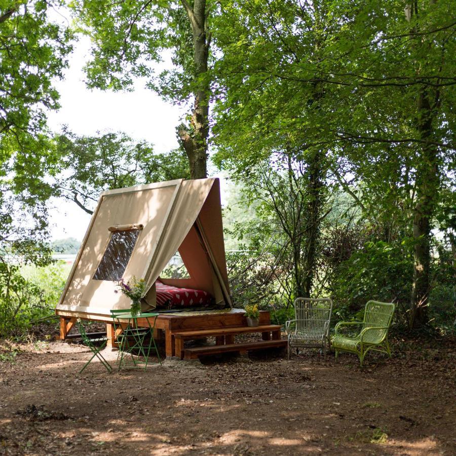 Eco-Camping De Helleborus, Yurt, Bell & Safari Tent, Pipo, Caravans, Dorms And Units Groningen Eksteriør bilde