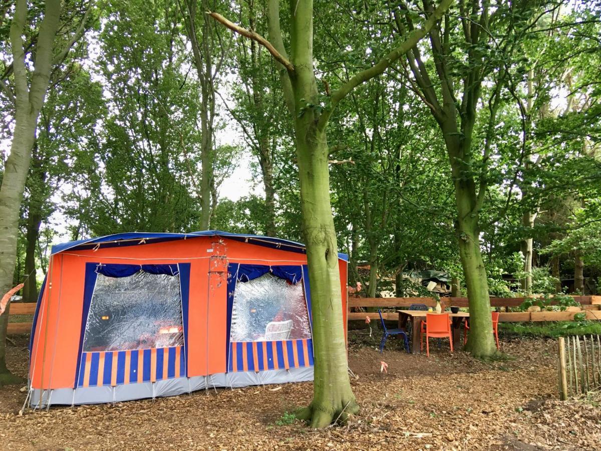 Eco-Camping De Helleborus, Yurt, Bell & Safari Tent, Pipo, Caravans, Dorms And Units Groningen Eksteriør bilde