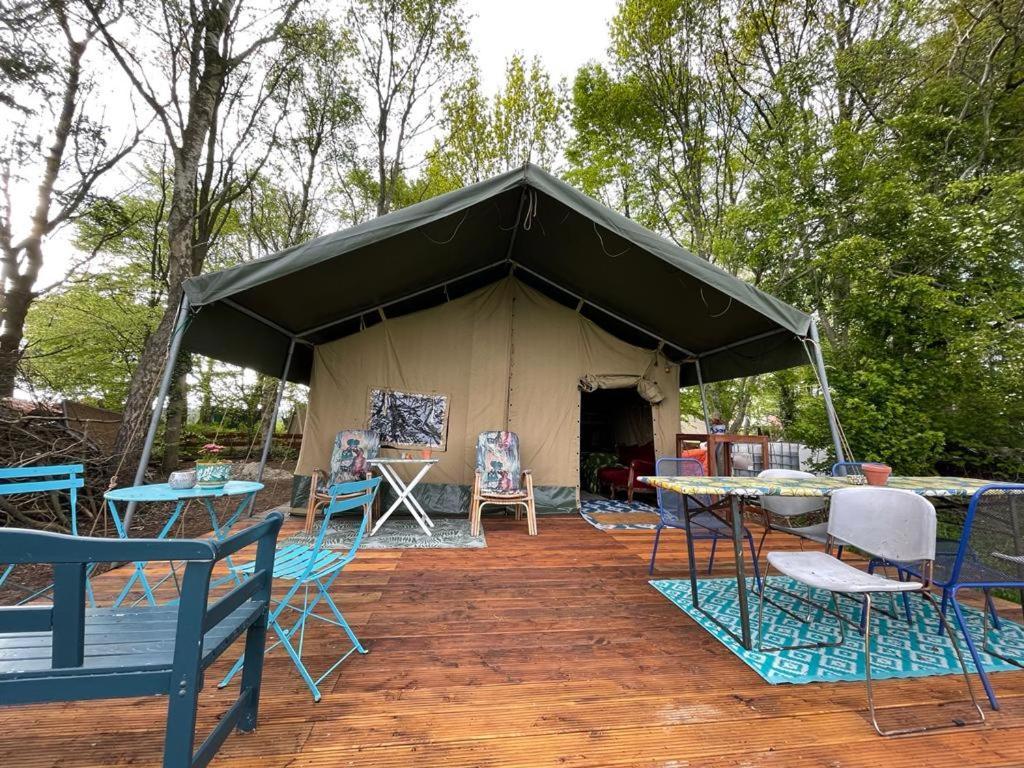 Eco-Camping De Helleborus, Yurt, Bell & Safari Tent, Pipo, Caravans, Dorms And Units Groningen Eksteriør bilde