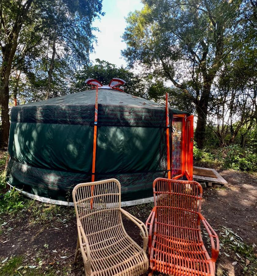 Eco-Camping De Helleborus, Yurt, Bell & Safari Tent, Pipo, Caravans, Dorms And Units Groningen Eksteriør bilde