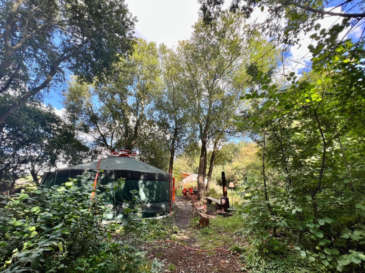 Eco-Camping De Helleborus, Yurt, Bell & Safari Tent, Pipo, Caravans, Dorms And Units Groningen Eksteriør bilde